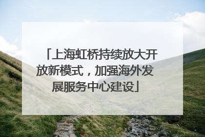 上海虹桥持续放大开放新模式，加强海外发展服务中心建设