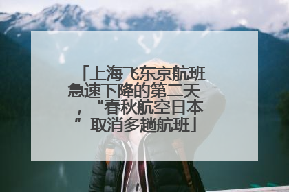 上海飞东京航班急速下降的第二天，“春秋航空日本”取消多趟航班