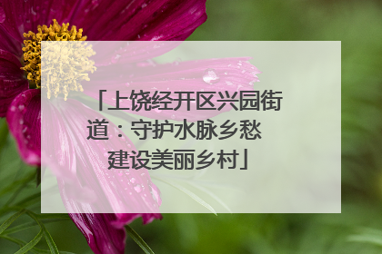 上饶经开区兴园街道：守护水脉乡愁 建设美丽乡村