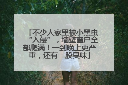 不少人家里被小黑虫“入侵”，墙壁窗户全部爬满！一到晚上更严重，还有一股臭味