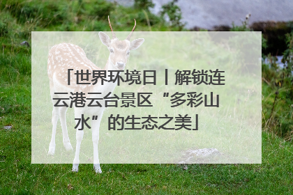 世界环境日丨解锁连云港云台景区“多彩山水”的生态之美