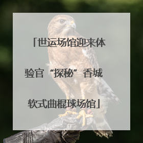 世运场馆迎来体验官“探秘”香城软式曲棍球场馆