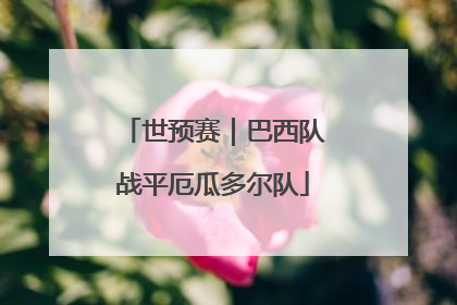 世预赛｜巴西队战平厄瓜多尔队