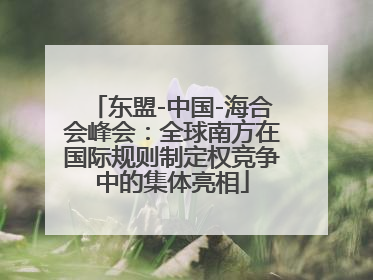 东盟-中国-海合会峰会：全球南方在国际规则制定权竞争中的集体亮相