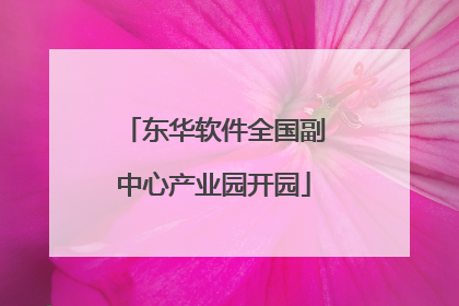 东华软件全国副中心产业园开园