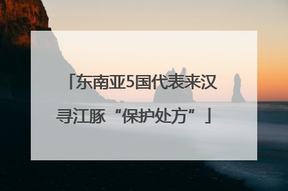 东南亚5国代表来汉寻江豚“保护处方”