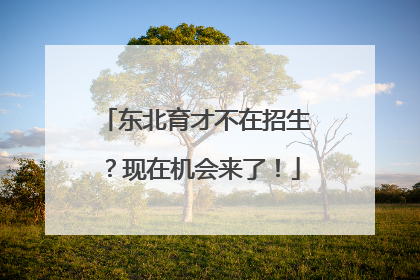 东北育才不在招生？现在机会来了！