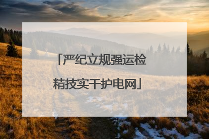 严纪立规强运检 精技实干护电网