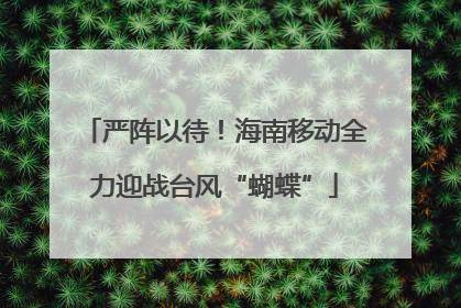 严阵以待！海南移动全力迎战台风“蝴蝶”