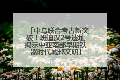 中乌联合考古新突破！班迪汉2号遗址揭示中亚南部早期铁器时代城邦文明