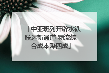 中亚班列开辟水铁联运新通道 物流综合成本降四成