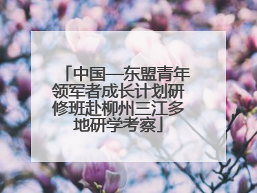 中国—东盟青年领军者成长计划研修班赴柳州三江多地研学考察
