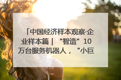 中国经济样本观察·企业样本篇｜“智造”10万台服务机器人，“小巨人”擎朗有大梦想