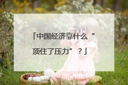 中国经济靠什么“顶住了压力”？