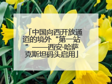 中国向西开放通道的境外“第一站”——西安·哈萨克斯坦码头启用