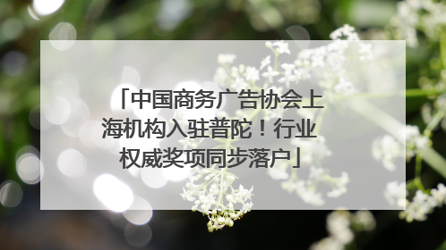 中国商务广告协会上海机构入驻普陀！行业权威奖项同步落户