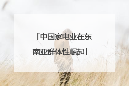 中国家电业在东南亚群体性崛起