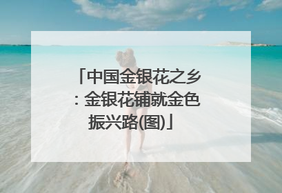 中国金银花之乡：金银花铺就金色振兴路(图)