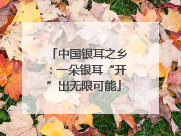 中国银耳之乡：一朵银耳“开”出无限可能