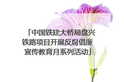 中国铁建大桥局盘兴铁路项目开展反腐倡廉宣传教育月系列活动