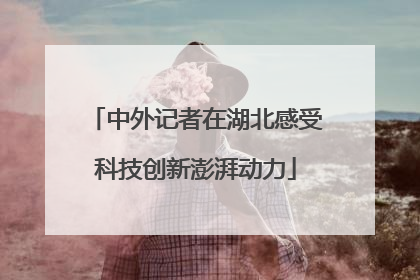 中外记者在湖北感受科技创新澎湃动力