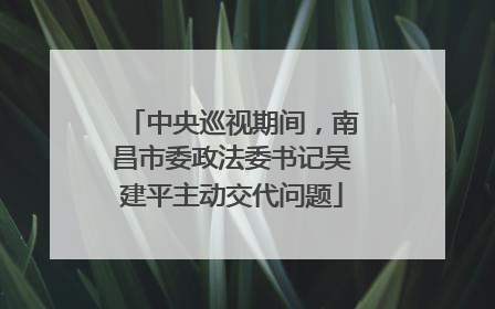 中央巡视期间，南昌市委政法委书记吴建平主动交代问题