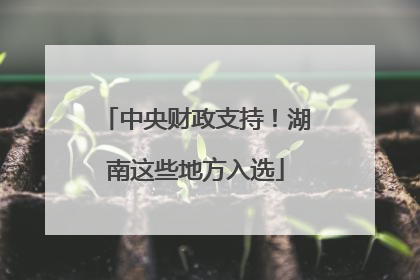 中央财政支持！湖南这些地方入选