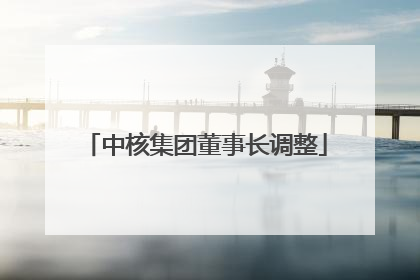 中核集团董事长调整