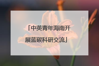 中英青年海南开展蓝碳科研交流