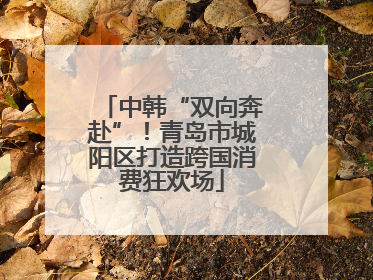 中韩“双向奔赴”！青岛市城阳区打造跨国消费狂欢场
