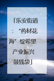 乐安街道：“药材花海”绽希望 产业振兴鼓钱袋