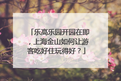 乐高乐园开园在即，上海金山如何让游客吃好住玩得好？