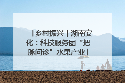 乡村振兴｜湖南安化：科技服务团“把脉问诊”水果产业