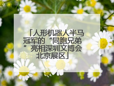 人形机器人半马冠军的“同胞兄弟”亮相深圳文博会北京展区