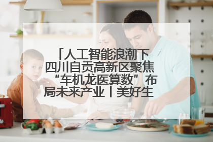 人工智能浪潮下 四川自贡高新区聚焦“车机龙医算数”布局未来产业丨美好生活有“盐”味