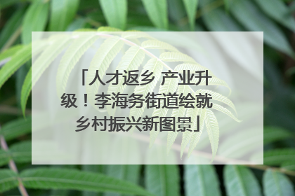 人才返乡 产业升级！李海务街道绘就乡村振兴新图景