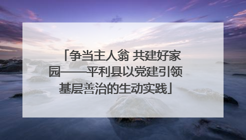 争当主人翁 共建好家园——平利县以党建引领基层善治的生动实践