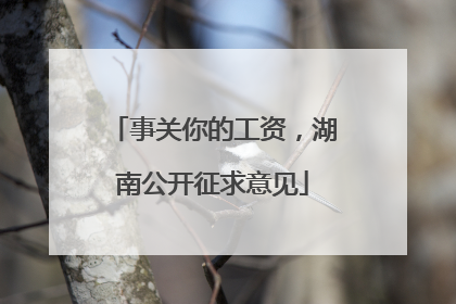 事关你的工资，湖南公开征求意见