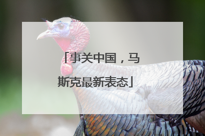 事关中国，马斯克最新表态