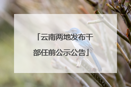 云南两地发布干部任前公示公告