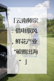 云南师宗：借电驭风，鲜花产业“破圈出海”