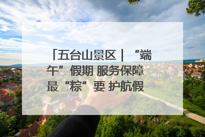 五台山景区｜“端午”假期 服务保障最“粽”要 护航假期“不打烊”