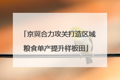 京冀合力攻关打造区域粮食单产提升样板田