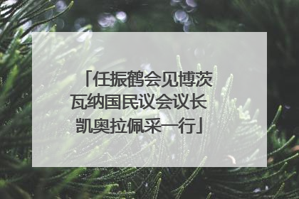 任振鹤会见博茨瓦纳国民议会议长凯奥拉佩采一行