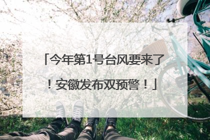 今年第1号台风要来了！安徽发布双预警！