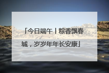 今日端午丨粽香飘春城，岁岁年年长安康