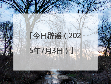 今日辟谣（2025年7月3日）