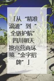 从“精准滴灌”到“全链护航” 四川朝天擦亮营商环境“金字招牌”