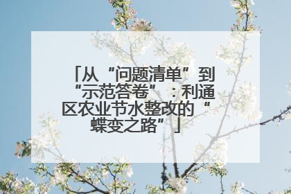 从“问题清单”到“示范答卷”：利通区农业节水整改的“蝶变之路”
