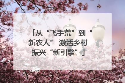 从“飞手荒”到“新农人” 激活乡村振兴“新引擎”
